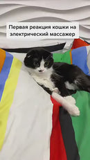 Masajeador portátil